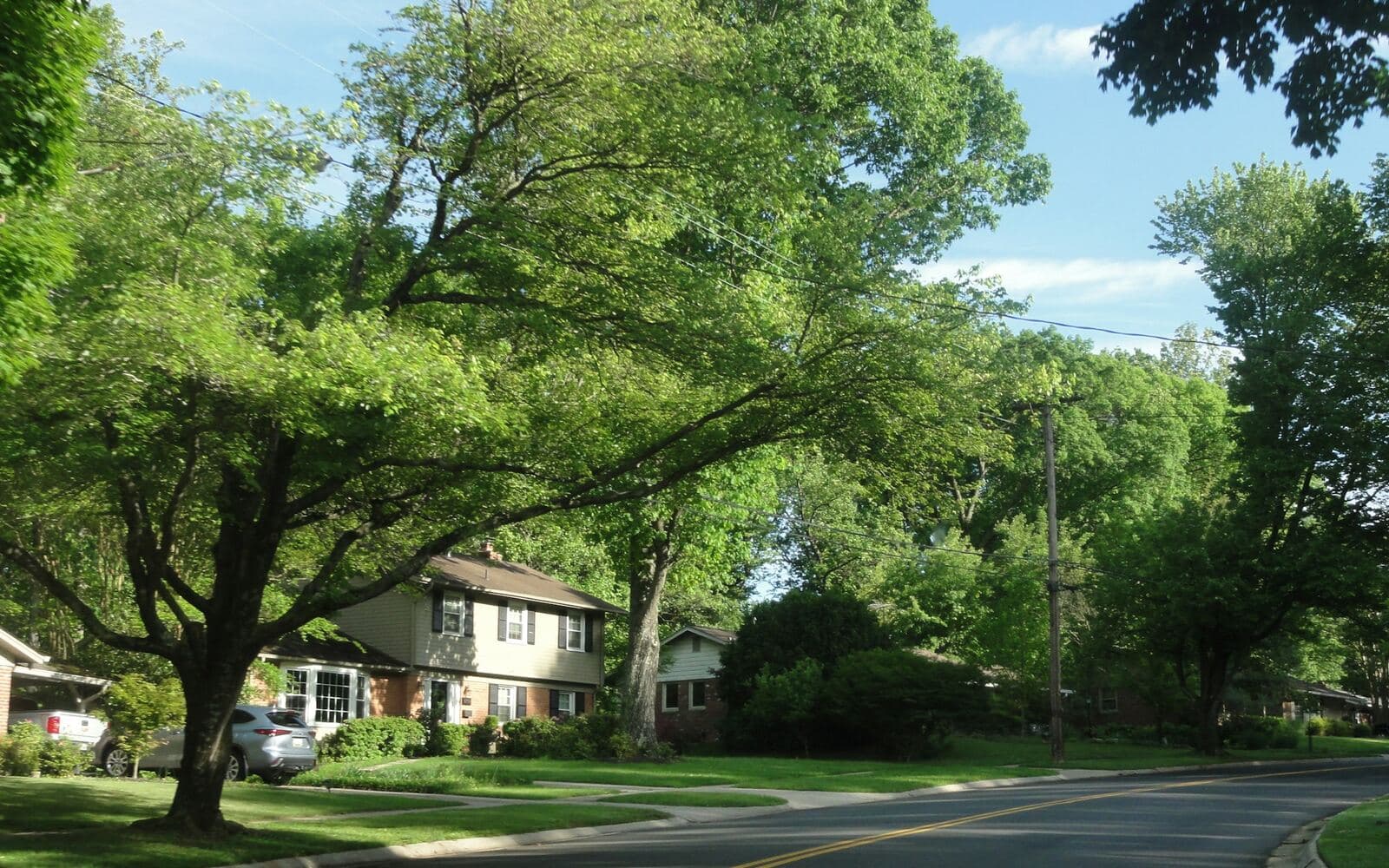 Suburban homes on a street in Prince William County